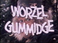 worpic1